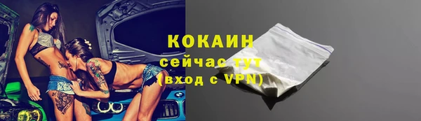 стаф Алзамай