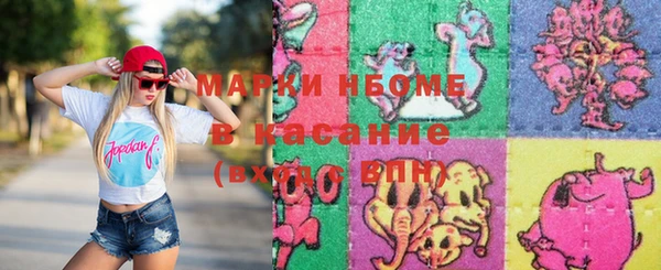 стаф Алзамай
