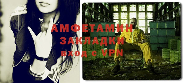 стаф Алзамай