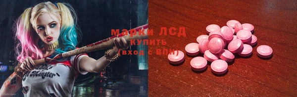 стаф Алзамай
